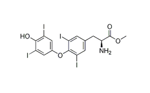 Levothyroxine Methyl Ester